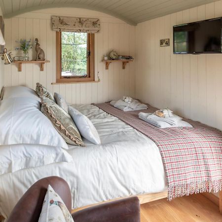 Villa Padarn'S Hut à Llanbadarn Fynydd Extérieur photo